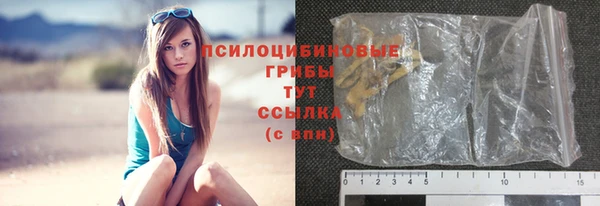 СК Дмитровск