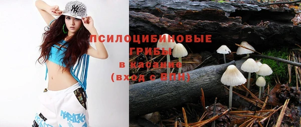 дживик Дмитриев