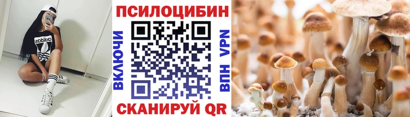 Псилоцибиновые грибы мухоморы Злынка