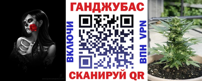 Бошки марихуана конопля Злынка